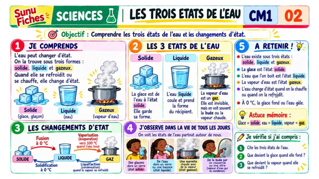 Les trois états de l’eau